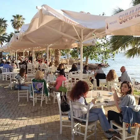 Athens Riviera Garden Recluse, Close To Sea N City Εξωτερικό φωτογραφία